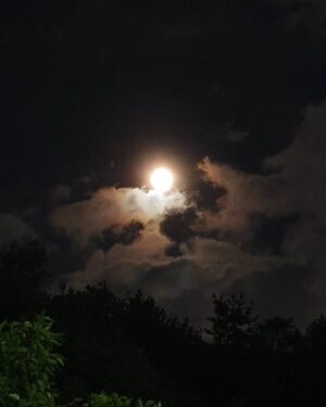 Jang Su-won Instagram - 🌕 추석 즐겁게 보내세요~