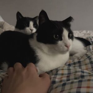 Jang Yeon-woo Instagram - 귀경길 조심..!