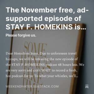 Janie Haddad Tompkins Instagram - ANNOUNCEMENT: we are so very sorry to share that the November episode of the STAY F. HOMEKINS podcast is going to be 48 hours late due to unforeseen travel hiccups. Check out our Weekend Water substack post to find out all about it. Thank you for your patience with us and please have a lovely weekend we miss youse. Xo @lebaneselooker & @pftompkins