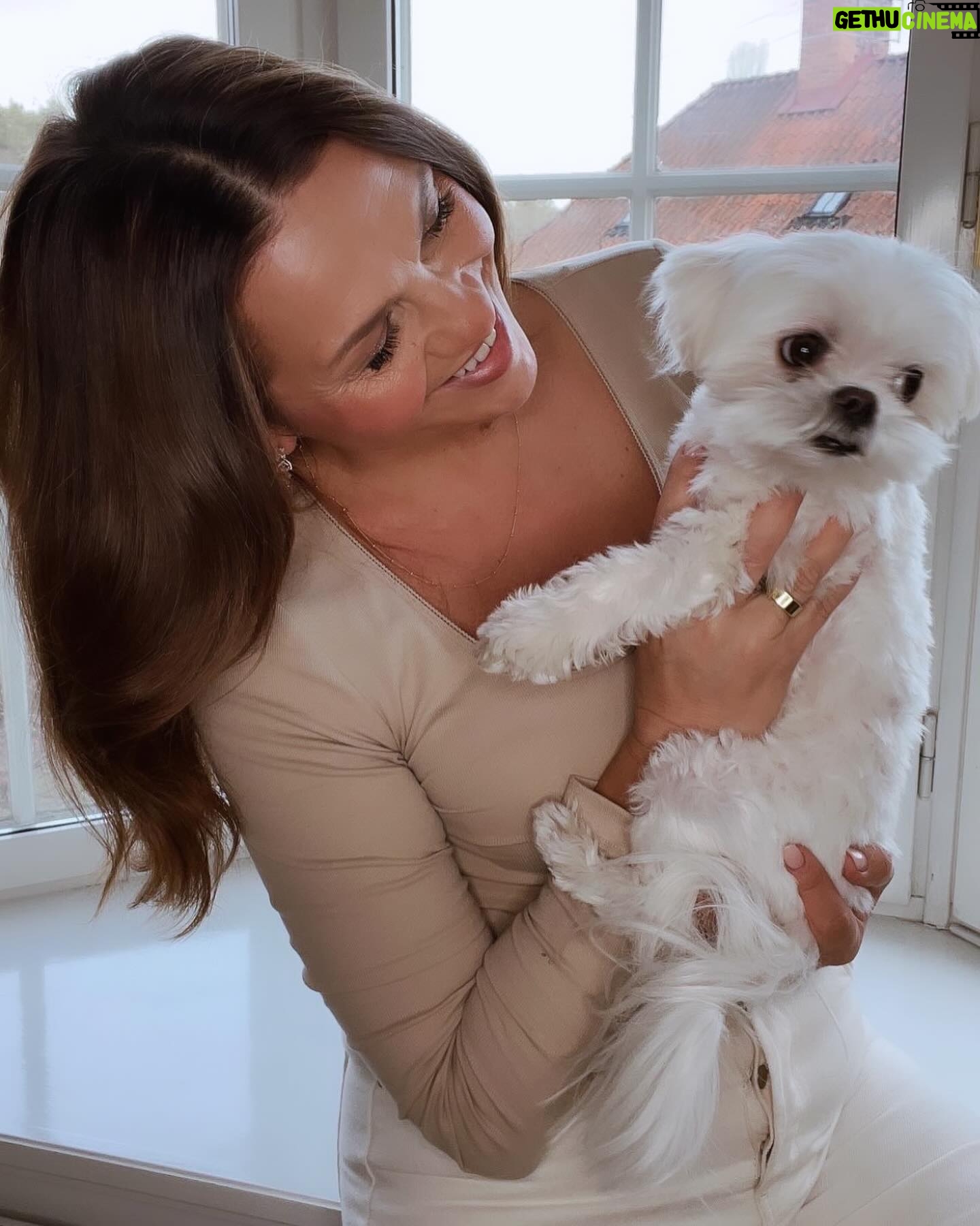 Janina Fry - 1.3K Likes - Dusty toivottaa vielä hyvää koirien päivää täältä pienen kuvakavalkadin kera 🐶🍗💖💘
