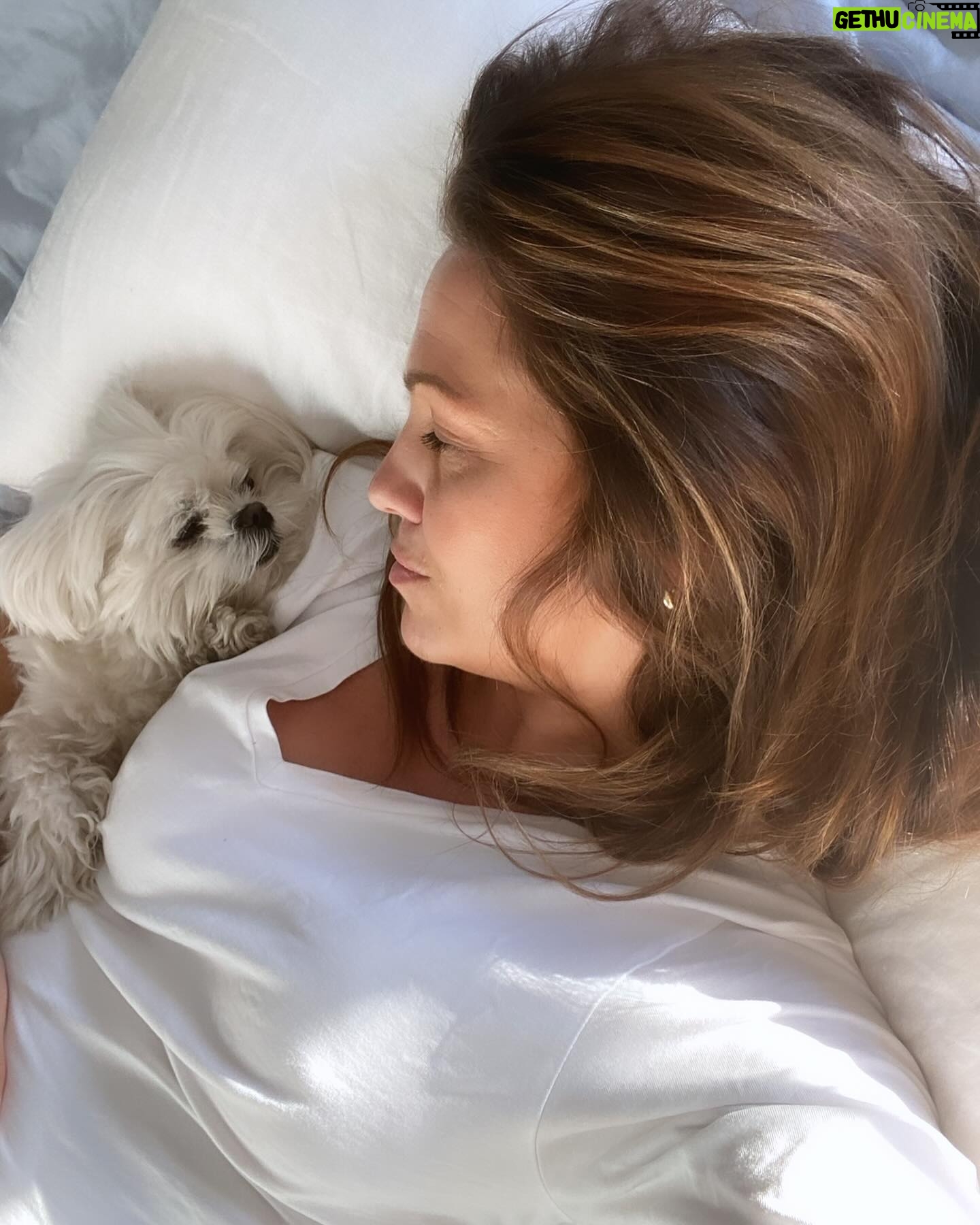 Janina Fry - 1.3K Likes - Dusty toivottaa vielä hyvää koirien päivää täältä pienen kuvakavalkadin kera 🐶🍗💖💘