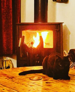 Janina Ramirez Instagram - Sometimes my genius knows no bounds. Drying my son’s school shoes after he wrecked them in mud over half term. Yes, it looks like I’ve pushed a witch into the fire, but that’s just a happy, freaky coincidence! 🧙🏻🔥