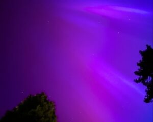 Janina Ramirez Instagram - For those that know me, you’ll know I had two things on my bucket list: see a murmuration and the Northern Lights. Achieved one last year a few miles down the road, and tonight I’ve achieved the other from my back garden. I’m overwhelmed….