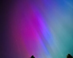 Janina Ramirez Instagram - For those that know me, you’ll know I had two things on my bucket list: see a murmuration and the Northern Lights. Achieved one last year a few miles down the road, and tonight I’ve achieved the other from my back garden. I’m overwhelmed….