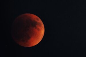 Janna Levin Instagram - Repost from @mulographynyc
•
Full Lunar Eclipse - 11.57pm over New York City - So great to see so many families standing on Boulevard East in NJ witnessing this incredible event. A kid was so excited explaining to several bystanders exactly what was happening as the moon orbited into the Earth's umbral shadow causing the shorter red wavelengths of light to refract inwards from our atmosphere onto the moon giving it this distinct color. He was about 10 years old. There's hope for science yet.