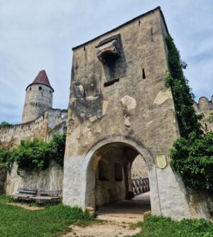 János Vadon Instagram - Hegykői "bázisunkról" kiindulva az elmúlt napokban sok szép helyen túráztunk, festői várromokban, gyönyörű szurdokokban, meredek sziklákon és zöldelő erdőkben... 🏰🏞⛰️🌳 Mondhatnám, hogy csak a szokásos program, de a szépséghez nem lehet hozzászokni és betelni sem vele, újra és újra át kell élni! 💚🤗
#vadonjani #vadonjanos #kutyávaltúrázunk #seebensteincastle #johannesbachklamm #várrom #szurdok @fruskatiruska @tornacos.lifestyle.hotel