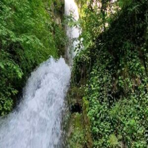 János Vadon Instagram - A sok esőnek köszönhetően a Bükk elképesztően szép arcát mutatta az elmúlt napokban! 🌧🌳⛰️🤗 Még az Imó-kői időszakos karsztforrásból is dőlt a víz, a Lillafüredi vízesésről nem is beszélve! 💦💜 Ehhez jött még hozzá a gyönyörű idő! ☀️ Szóval tökéletes hétvége volt! 💯👍😊
#vadonjani #vadonjanos #kutyávaltúrázunk  #iloveborsod #lillafüredivízesés #lillafüred #bükk #imókő #karsztforrás #vízesés @fruskatiruska