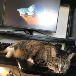Jared Gilmore Instagram - Attempting to fix my PC while Lily chills #ldonotknowwhattohashtag #huzzah