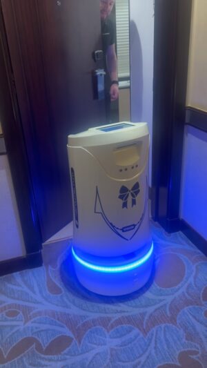 Jared Gordon Instagram - The future is here 🤖🦾🦿
.
.
.
#robot #future #riyadh