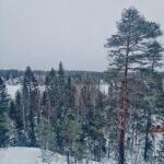 Jarppi Leppälä