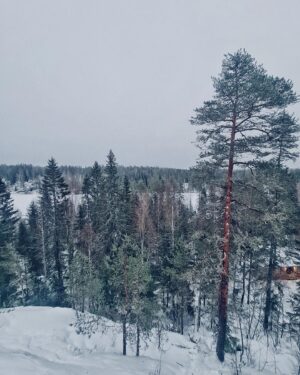 Jarppi Leppälä Instagram - Rauhoittumassa jouluun jätkien kans 🎅❄️
Suunniteltiin samalla vähä ens vuotta...
Kiitti @hawkhillnature kunnon puitteista. Jos oot vielä mökkiä vailla jouluks niin alle tunnin päästä Helsingistä oikeen tunnelmalliset puitteet 👌