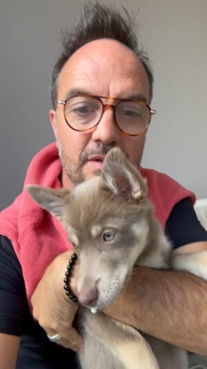 Jarry Instagram - Cette vidéo donne une information qui est fausse 😂😂😂😂 ! La@vérité ne sort pas de la bouche des enfants 😜🙏👌… Abonne toi pour de la bonne humeur ❤️