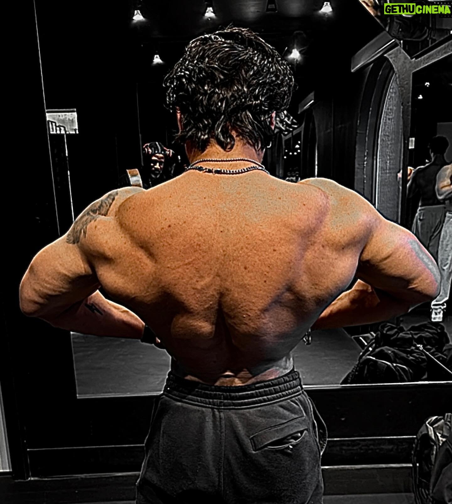 Jasmeet Baduwalia - 3 Likes - Be so inspirational that the camera does not leave your back🪯
•
•
•
@americanirongym @navibaduwalia