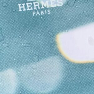 Jason Fernández Instagram - 24h in París with @hermes