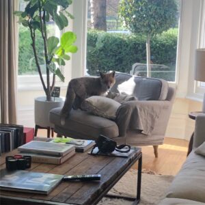 Jason Isaacs Instagram - Not something you want to find in your front room. Furry fucker didn't want to move either. I yelped, I growled, I got a putter and banged on the walls and floor. Didn't even blink. Should've used a 7 iron. 
#WildingTheSuburbs
