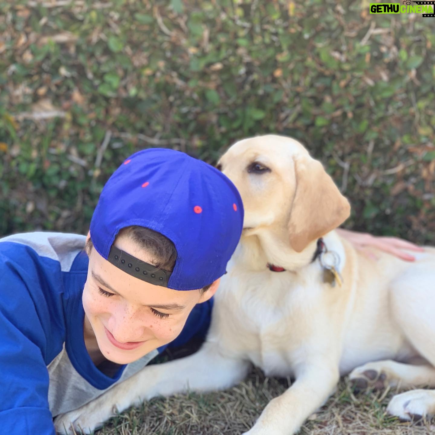 Jason Maybaum - 19.6K Likes - For the last couple of months my family has been puppy raising Wednesday for @guidedogsofamerica . Wednesday has grown literally and figuratively soooo much. So far, this experience has been incredible! If you live in Southern California you too can be a puppy raiser for @guidedogsofamerica even if you don’t live in Southern California, other states and countries have 🦮organizations that provide guide dogs to visually impaired people. Being a puppy raiser is a big commitment and during COVID-19 people who otherwise couldn’t commit may be able to. 💙 you can learn a little about puppy raiser experiences - @disneyplus has a great 🦮docuseries called #PickofTheLitter