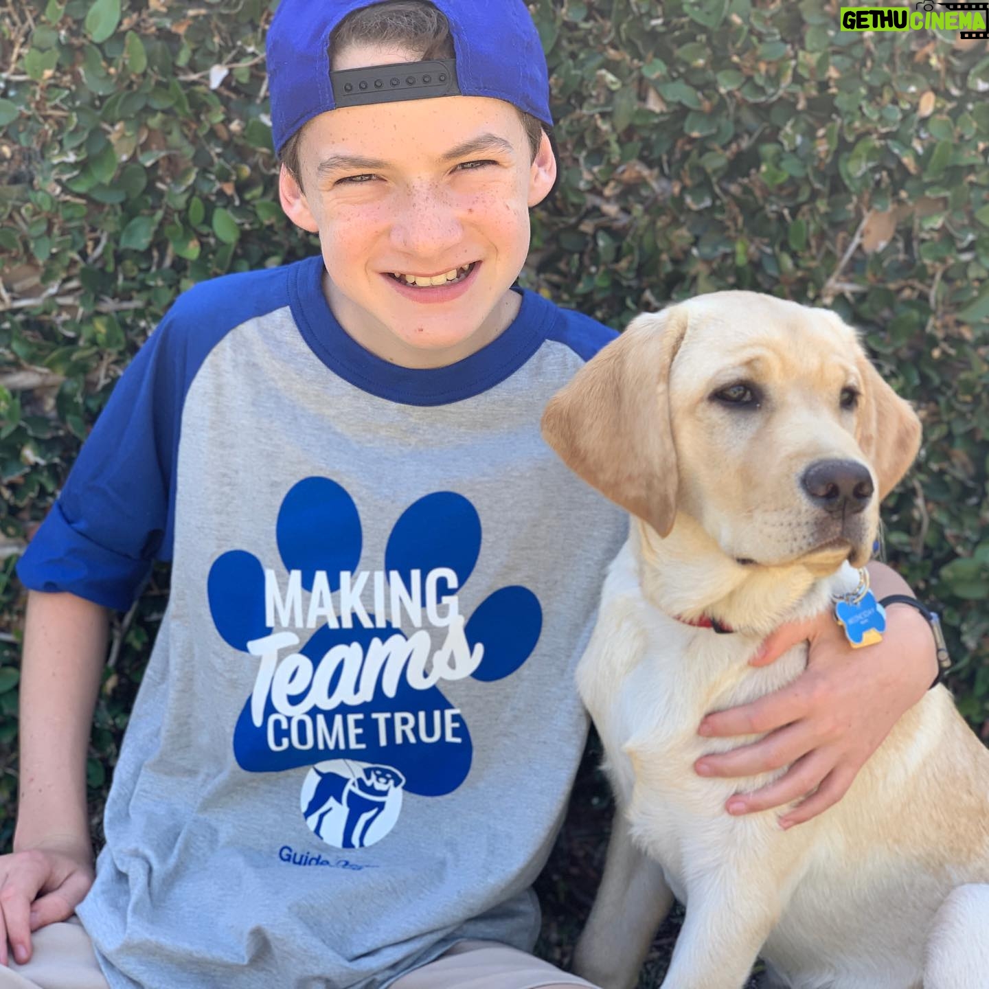 Jason Maybaum - 19.6K Likes - For the last couple of months my family has been puppy raising Wednesday for @guidedogsofamerica . Wednesday has grown literally and figuratively soooo much. So far, this experience has been incredible! If you live in Southern California you too can be a puppy raiser for @guidedogsofamerica even if you don’t live in Southern California, other states and countries have 🦮organizations that provide guide dogs to visually impaired people. Being a puppy raiser is a big commitment and during COVID-19 people who otherwise couldn’t commit may be able to. 💙 you can learn a little about puppy raiser experiences - @disneyplus has a great 🦮docuseries called #PickofTheLitter