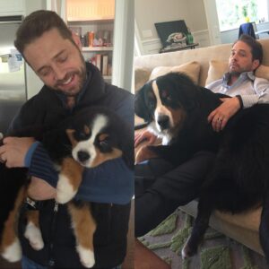 Jason Priestley Instagram - It was with the heaviest of hearts yesterday we said goodbye to our Clyde… he was such a huge part of our family… we will hold him forever in our hearts… #RIPClyde #bestdogever