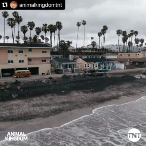 Jasper Polish Instagram - #Repost @animalkingdomtnt 
・・・
Smurf built one hell of an empire. See you Sunday at 9/8c for an all-new episode of #AnimalKingdom on TNT.