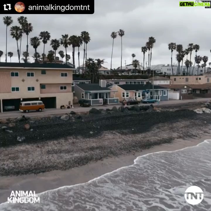 Jasper Polish - 3 Likes - #Repost @animalkingdomtnt
ć»ć»ć»
Smurf built one hell of an empire. See you Sunday at 9/8c for an all-new episode of #AnimalKingdom on TNT.