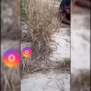 Javad Nazari Instagram - پیشاپیش روز مرد مبارک باد 😂✌😂

#عشقت_رو_تگ_کن 
#بفرست_براش #روزمردمبارک🌹💑🌹 
#بنیانگذار_استوری_خنده #استوری_خنده #استوری_خنده۲😂 #استوری_خنده۲ #کانال_تلگرامی_تک #مدیران_کانال_تلگرامی_تک #جوادنظری👈❤👉 #امیرخسرونظری 
#javadnazari #amirkhosronazari 
@jvad.nazari
#فالوکنیدبخندید☝😂
#استوری_خنده_دار #فانکده_تک #لایوکده #شادکده #خندانکده #تهرانکده #شمالکده #سرکت_ساری #خندهدارترین #اکسسوری #اکسپلور #طنز_خنده_دار_شوخی_سرگرمی_فان_جک_تصویر #پرسپولیسکده #پرسپولیس #فالوکنیدبخندید #دهکده_عشق_و_حال