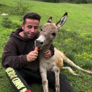 Javad Nazari Instagram - این میتونست فیلم ماه عسل منو تو باشه ولی حیف، حیف ک تو هویج دوست نداشتی😫🤣
#بفرست_براش
#استوری_کنید
#جوادنظری👈❤👉 #امیرخسرونظری 
#خندهدارترین #کلیپ_خنده_دار #ماه_عسل 
#طنز #خنده_بازار #فان #طنزکده_تک #تهرانکده #شمالکده #دهکده_عشق_و_حال #لایوکده #خندهدارترینها #فانکده_تک #پرسپولیسکده #خندانکده #شادکده 
#JavadNazari #jvadnazari #amirkhosronazari #fun #khandehbazar #khandeh