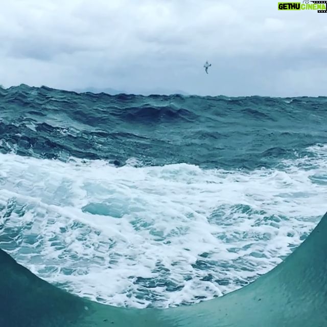 Javier Bardem - 6.9K Likes - El pasaje de Drake, para much@s el mar más bravo del mundo, a través de un ojo de buey del Arctic Sunrise de @greenpeace ・・・
#Repost @greenpeaceships
・・・
Drake Passage through a porthole. Can you spot the bird?
#drakepassage #porthole #ocean #shiplife #antarctica #antarcticexpidition #greenpeace #sea #waves #birdwatching