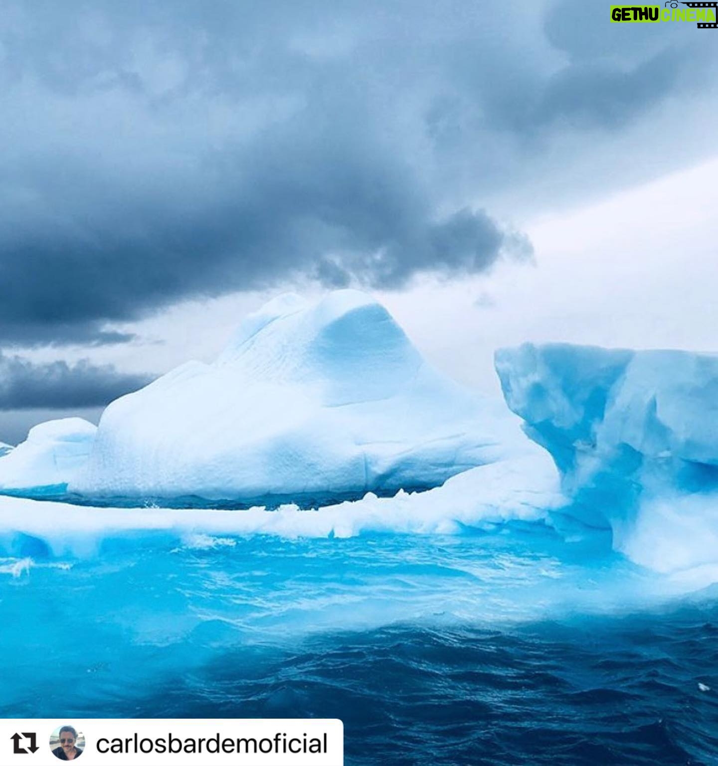 Javier Bardem - 13.5K Likes - Ya puedes ver SANTUARIO en streaming y disfrutar de un viaje increíble por la Belleza Antártica: las más bellas catedrales son las que alza la naturaleza. El elogio de la forma, de lo gótico o Bauhaus a la última vanguardia. Sobrecoge verla. Algunos explicaremos esta belleza desde la ciencia, otros verán en ella la mano de un Creador. Da igual. Lo importante es que todos lleguemos a la misma conclusión: hay que proteger y legar esta belleza.
Únete y firma en:
protecttheantarctic.org
Santuario está disponible en @primevideoes @enfilmin @vodafonetves @rakutentv_es @huawei y próximamente estará en @cerogram
.
Beauty Antarctica: the most beautiful cathedrals are those that build nature. The praise of the form, of the Gothic or Bauhaus to the last vanguard. It is overwhelming to see it. Some will explain this beauty from science, others will see in it the hand of a Creator. Does not matter. The important thing is that we all reach the same conclusion: we must protect and bequeath this beauty.
Join and sign in:
protecttheantarctic.org
.
#repost @carlosbardemoficial
.
#protectantarctic #santuarioantartico #nohayplanb #nohayplanetab #icebreaker #sailing #artic #antarctica #iceberg #catherdral #art #arquitectura #architecturelovers #greenpeace #javierbardem #instagram #picoftheday #savetheplanet #santuario #sanctuary