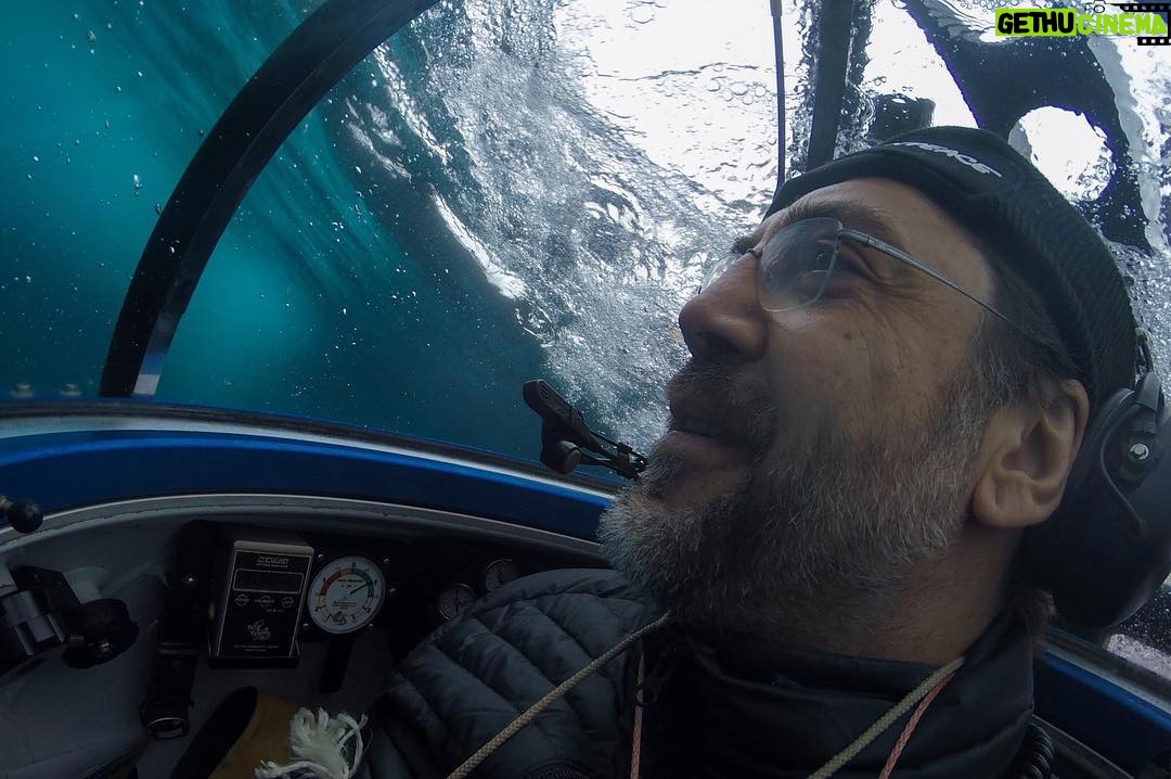 Javier Bardem - 9K Likes - Javier, don't think about the water above you. Be present here and now. This is what went through my head. It was a once in a lifetime experience to visit the bottom of the Antarctic Ocean, and I feel more strongly than ever that it deserves protection #ProtectAntarctic
.
.
.
"Javier, no pienses en el agua que te rodea. Tienes que estar presente aquí y ahora." Esto era lo que se me pasaba por la cabeza. Visitar el fondo del océano Antártico fue una experiencia única y estoy más convencido que nunca de la necesidad de protegerlo #SantuarioAntartico