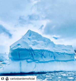 Javier Bardem Instagram - Ya puedes ver SANTUARIO en streaming y disfrutar de un viaje increíble por la Belleza Antártica: las más bellas catedrales son las que alza la naturaleza. El elogio de la forma, de lo gótico o Bauhaus a la última vanguardia. Sobrecoge verla. Algunos explicaremos esta belleza desde la ciencia, otros verán en ella la mano de un Creador. Da igual. Lo importante es que todos lleguemos a la misma conclusión: hay que proteger y legar esta belleza.
Únete y firma en:
protecttheantarctic.org
Santuario está disponible en @primevideoes @enfilmin @vodafonetves @rakutentv_es @huawei y próximamente estará en @cerogram
.
Beauty Antarctica: the most beautiful cathedrals are those that build nature. The praise of the form, of the Gothic or Bauhaus to the last vanguard. It is overwhelming to see it. Some will explain this beauty from science, others will see in it the hand of a Creator. Does not matter. The important thing is that we all reach the same conclusion: we must protect and bequeath this beauty.
Join and sign in:
protecttheantarctic.org
.
#repost @carlosbardemoficial
.
#protectantarctic #santuarioantartico #nohayplanb #nohayplanetab #icebreaker #sailing #artic #antarctica #iceberg #catherdral #art #arquitectura #architecturelovers #greenpeace #javierbardem #instagram #picoftheday #savetheplanet #santuario #sanctuary