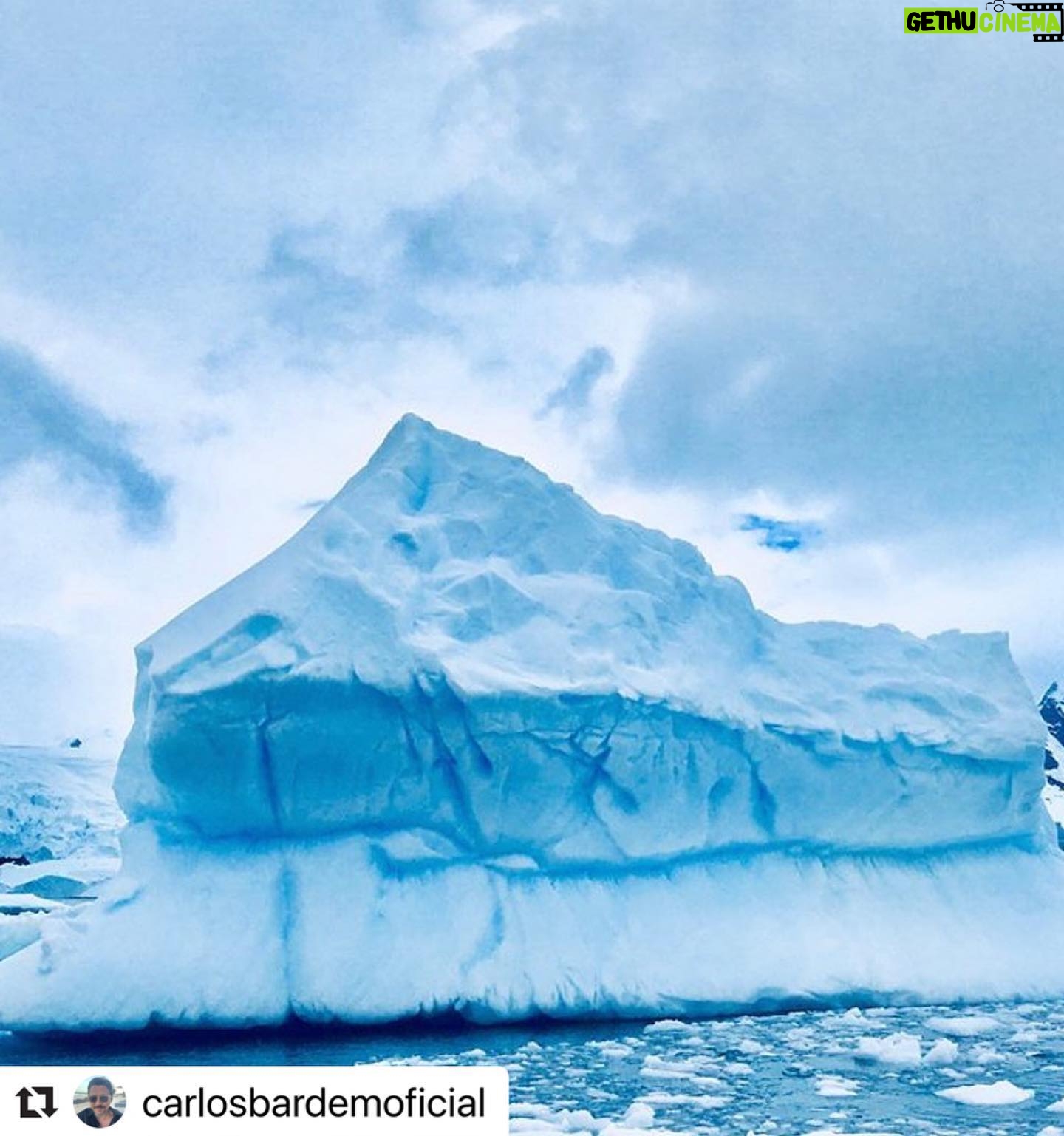 Javier Bardem - 13.5K Likes - Ya puedes ver SANTUARIO en streaming y disfrutar de un viaje increíble por la Belleza Antártica: las más bellas catedrales son las que alza la naturaleza. El elogio de la forma, de lo gótico o Bauhaus a la última vanguardia. Sobrecoge verla. Algunos explicaremos esta belleza desde la ciencia, otros verán en ella la mano de un Creador. Da igual. Lo importante es que todos lleguemos a la misma conclusión: hay que proteger y legar esta belleza.
Únete y firma en:
protecttheantarctic.org
Santuario está disponible en @primevideoes @enfilmin @vodafonetves @rakutentv_es @huawei y próximamente estará en @cerogram
.
Beauty Antarctica: the most beautiful cathedrals are those that build nature. The praise of the form, of the Gothic or Bauhaus to the last vanguard. It is overwhelming to see it. Some will explain this beauty from science, others will see in it the hand of a Creator. Does not matter. The important thing is that we all reach the same conclusion: we must protect and bequeath this beauty.
Join and sign in:
protecttheantarctic.org
.
#repost @carlosbardemoficial
.
#protectantarctic #santuarioantartico #nohayplanb #nohayplanetab #icebreaker #sailing #artic #antarctica #iceberg #catherdral #art #arquitectura #architecturelovers #greenpeace #javierbardem #instagram #picoftheday #savetheplanet #santuario #sanctuary