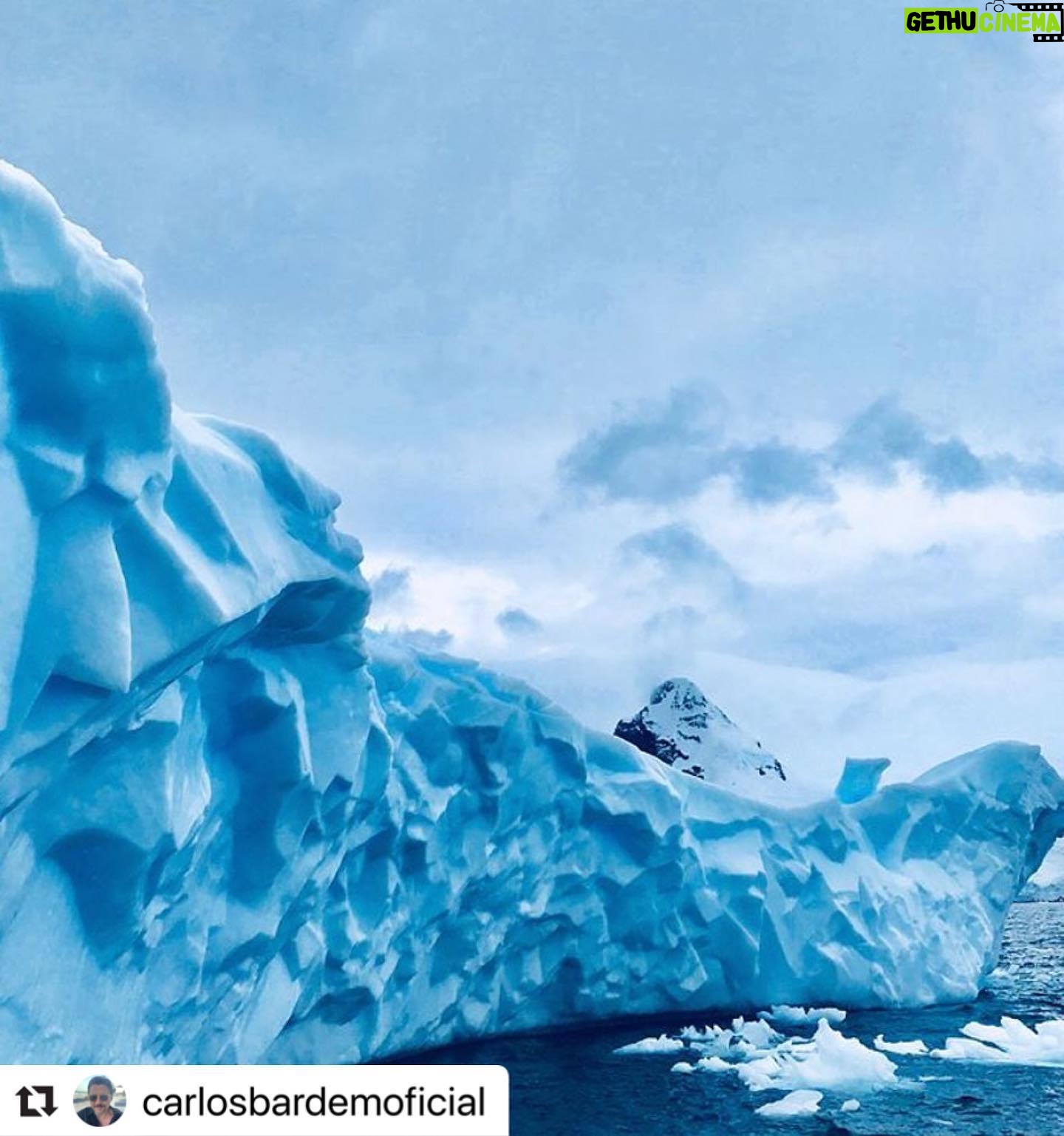 Javier Bardem - 13.5K Likes - Ya puedes ver SANTUARIO en streaming y disfrutar de un viaje increíble por la Belleza Antártica: las más bellas catedrales son las que alza la naturaleza. El elogio de la forma, de lo gótico o Bauhaus a la última vanguardia. Sobrecoge verla. Algunos explicaremos esta belleza desde la ciencia, otros verán en ella la mano de un Creador. Da igual. Lo importante es que todos lleguemos a la misma conclusión: hay que proteger y legar esta belleza.
Únete y firma en:
protecttheantarctic.org
Santuario está disponible en @primevideoes @enfilmin @vodafonetves @rakutentv_es @huawei y próximamente estará en @cerogram
.
Beauty Antarctica: the most beautiful cathedrals are those that build nature. The praise of the form, of the Gothic or Bauhaus to the last vanguard. It is overwhelming to see it. Some will explain this beauty from science, others will see in it the hand of a Creator. Does not matter. The important thing is that we all reach the same conclusion: we must protect and bequeath this beauty.
Join and sign in:
protecttheantarctic.org
.
#repost @carlosbardemoficial
.
#protectantarctic #santuarioantartico #nohayplanb #nohayplanetab #icebreaker #sailing #artic #antarctica #iceberg #catherdral #art #arquitectura #architecturelovers #greenpeace #javierbardem #instagram #picoftheday #savetheplanet #santuario #sanctuary