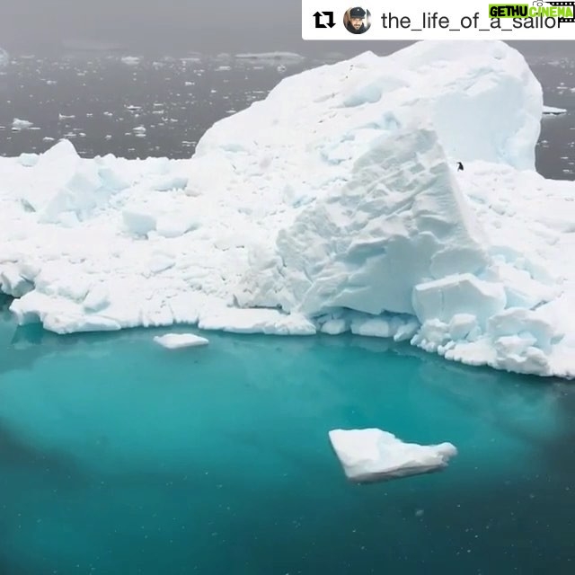 Javier Bardem - 6.3K Likes - Increíble el color azul de este iceberg bajo el agua captado por @the_life_of_a_sailor, ¿verdad? Estas aguas están a -1°C, solo aptas para los pingüinos más fuertes!
・・・
#Repost @the_life_of_a_sailor ・・・
I don’t know how I made it but in this video is easy to see how is an iceberg underwater 👏🏻👏🏻 that blue color underwater is amazing , isn’t it?? 🤩🤩#iceberg #ice #antarctica #antarticexpedition #protectantarctica #sea