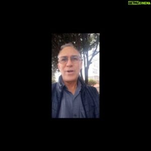 Javier Delguidice Instagram - Navidad y mascotas , un regalo responsable
