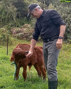 Javier Delguidice Instagram - Regreso al pasado.  Cuando era niñoi padre tenía cabezas de ganado y ver nacer y estar con las terneras era pasarse el día con ellas. Amo el campo!.