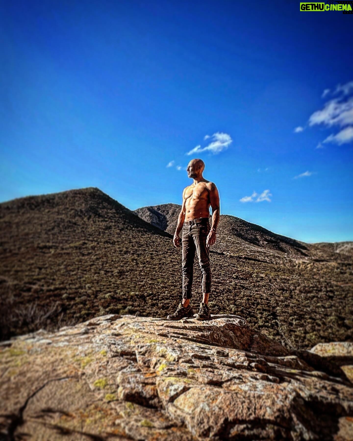 Javier Poza - 361 Likes -