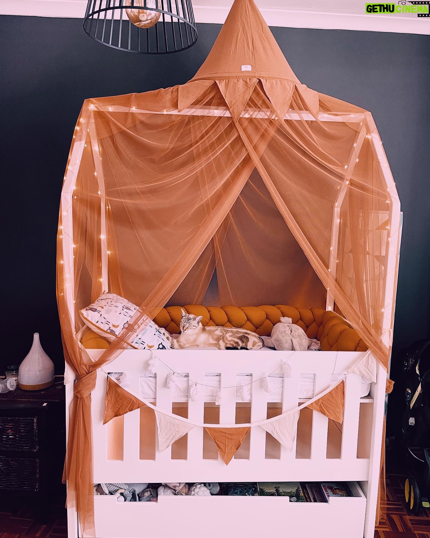 Jay Anstey - 1.3K Likes - We went to the @flairmarket just wanting to spend a fun day out not expecting to buy too much, especially not any of the big buys as I had only just hit my second trimester…
And boom! We found our dream crib…. 🪄 🔮 🌈 👏🏼🥳🙈
@babyboutiqueonlinesa
It’s the pride and joy of our nursery. With so many features and the ability to be used for years to come!
We also got the most adorable linen to go with our colour scheme from them! (It’s so soft I wanna climb in myself)
And on top of everything we got our compactum too. Sleek, stylish, sturdy and practical.
Bestie @cheerfullygrey also got Heidi’s crib from @babyonlineboutique so they came highly recommended!! 😜 And of cors Goku had to try it out first… he approves. 🐱
#mom #momlife #postpartum #4thTrimester #babies #newborn #baby #family #motherhood #parenthood #momsofinsta #girlmom #momblogger #momblog #clickinmoms #lightinspired #kidsforreal #illuminatechildhood #magicofchildhood #alternativeparenting #wildwomensisterhood #crib #nursery #babyroom #babyaccessories