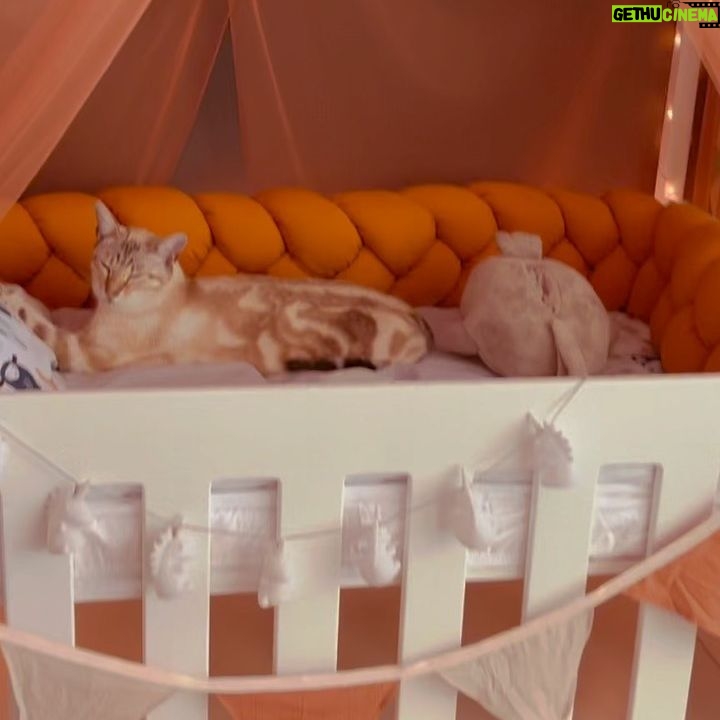 Jay Anstey - 1.3K Likes - We went to the @flairmarket just wanting to spend a fun day out not expecting to buy too much, especially not any of the big buys as I had only just hit my second trimester…
And boom! We found our dream crib…. 🪄 🔮 🌈 👏🏼🥳🙈
@babyboutiqueonlinesa
It’s the pride and joy of our nursery. With so many features and the ability to be used for years to come!
We also got the most adorable linen to go with our colour scheme from them! (It’s so soft I wanna climb in myself)
And on top of everything we got our compactum too. Sleek, stylish, sturdy and practical.
Bestie @cheerfullygrey also got Heidi’s crib from @babyonlineboutique so they came highly recommended!! 😜 And of cors Goku had to try it out first… he approves. 🐱
#mom #momlife #postpartum #4thTrimester #babies #newborn #baby #family #motherhood #parenthood #momsofinsta #girlmom #momblogger #momblog #clickinmoms #lightinspired #kidsforreal #illuminatechildhood #magicofchildhood #alternativeparenting #wildwomensisterhood #crib #nursery #babyroom #babyaccessories