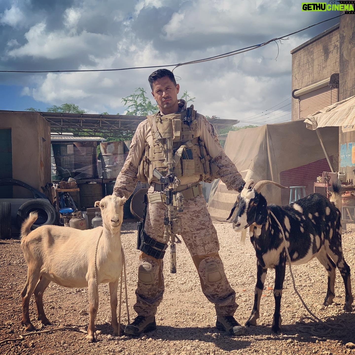 Jay Hernandez - 40.6K Likes - The glory of independent film making brings you āYouāve Goat mail.ā A harrowing love story about two non binary goats from disparate sides of the world who become pen pals & find love in a remote Afghan village and whose only hope for survival is a US soldier whose bound by a blood oath made to the goats father on his deathbed to get his ākidā safely out of harms way and into greener pastures. Prrrrrrretty sure Iāll get an Oscar nom. #verytalented #goats