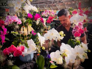 Jay Hernandez Instagram - Always stop to smell the flowers. Life is short. Happy new year y'all. ❣️