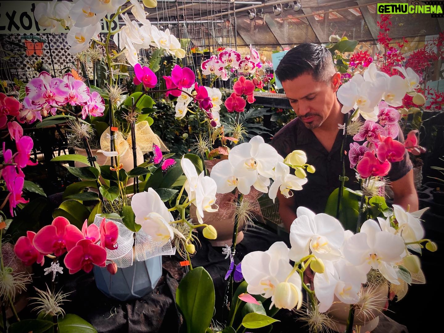Jay Hernandez - 27K Likes - Always stop to smell the flowers. Life is short. Happy new year y'all. ❣️