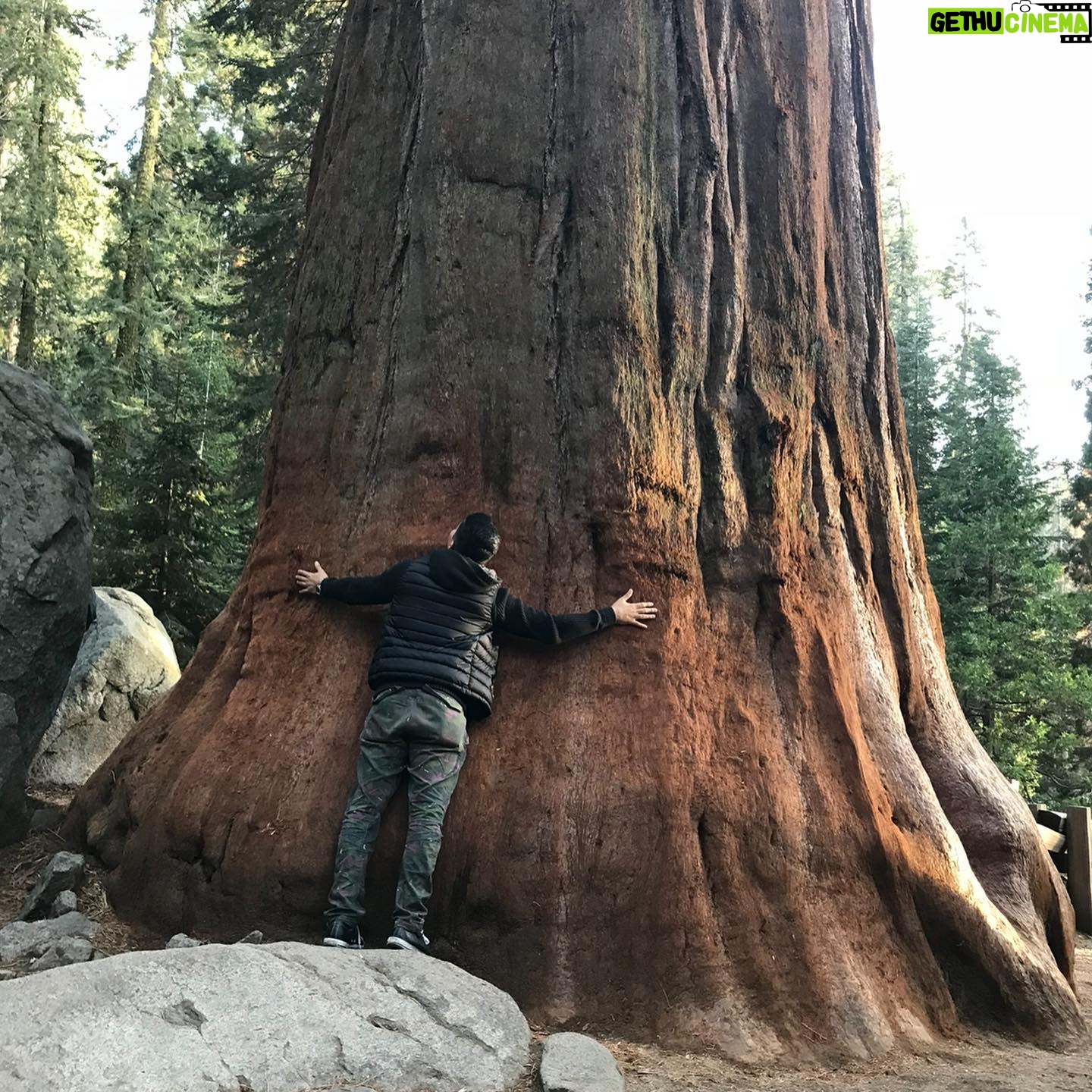 Jay Hernandez - 32.5K Likes - Happy #earthday from this tree hugging, nature loving, science believing "libtard." It can't just be posts & nice words, it's up to all of us to protect her. 🌎✌🏽❣️