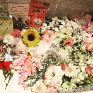 Jaycee Chan Instagram - 一路好走... RIP... Momo i’ll miss your gallops ...