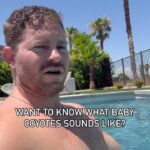 Jaymes Vaughan