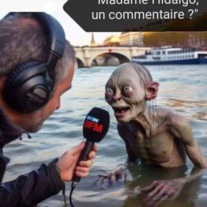 Jean-Michel Tinivelli Instagram - Merci à la personne qui a créé  ce joli montage car je ne suis  pas défaitiste mais  juste curieux donc Hâte ,  hate ,  hâte de voir la chore de notre sirène Parisienne, Mme la mairesse  Hidalgo dans la Seine et son eau limpide  et surtout le résultat de ses  analyses de peau  juste après trempette , sans vouloir être mauvaise langue j avoue être  assez dubitatif … bref…en attendant le plongeon de notre élue , une belle semaine à toutes et à tous malgré cette actualité troublante et une énorme pensée  émue à ceux qui vont devoir se foutre à la flotte dans qqs temps 🥳😊🌸…. #bonnejournée#monday#goodweek#semaine#humour#pourquoi#seine#eau#jo#maire#mairie#parisfrance#analyse#meteo#microbes#pluie#peau#popo#experience#natation#competition #sport#epreuve#labo#bisous#❤️❤️❤️#☘️