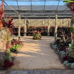 Jeff Bridges - 7.5K Likes - If youāre ever in Carpinteria, Californiaā¦stop by this magical spot and have your mind blow with plant energy. Thank you @airplantalchemy for letting me have my birthday amongst the Air Plants.
https://airplantalchemy.com/