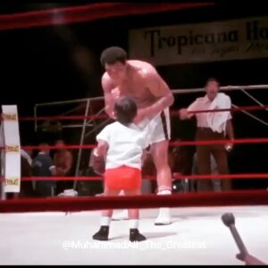 Jeff Garlin Instagram - Life is good. It may punch you in the face quite often but you have to keep getting up because it’s worth it. Adversity adds character and perspective. Thanks @muhammadali