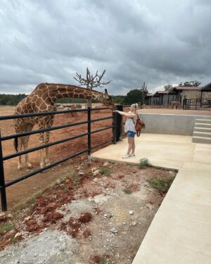 Jeff Weldon Instagram - We had the most wonderful time at @longneckmanor this past weekend. Winston is infatuated with animals, so we figured we would treat him to a special encounter with some Giraffe’s and Rhinos! Winston was a little timid while feeding them though, but loved the up close and personal animal interactions. The highlight of the trip was Danielle getting licked by a giraffe when she wasn’t paying attention lol (scroll through and you’ll see the video)! After the week we had, this was the perfect way to put a smile on our faces. Highly recommend if you’re in the Fredericksburg, TX area.