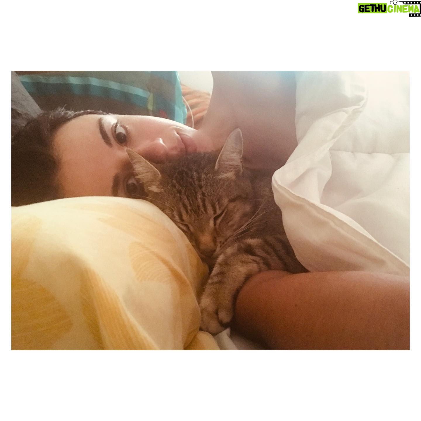 Jenna Kanell - 3.1K Likes - “Y por un instante, te encontré.” ♥️