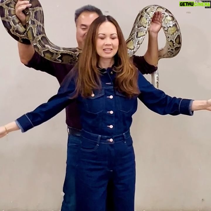 Jennie Kwan - 761 Likes - My first time wearing Chanel!!
I used to be afraid of going near snakes let alone touching them. But letting one rest on me?!? NOPE! But thanks to Chanel I have a whole new appreciation for these smooth beauties.
@anime.fuse
.
.
.
#animefuse #comiccon #animecon #snake #snakesofinstagram #faceyourfear